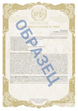 Образец Приложение к СТО 01.064.00220722.2-2020 Терней Сертификат СТО 01.064.00220722.2-2020 